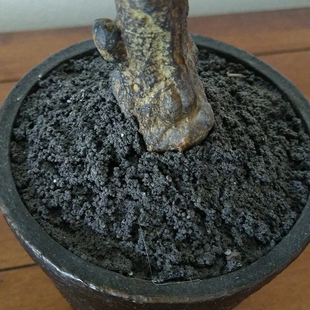 NWOT Faux Plant 22